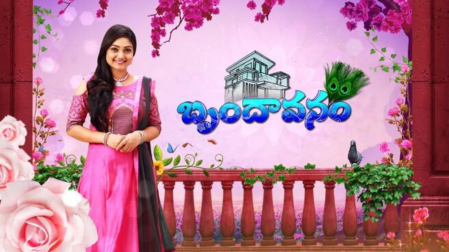 Brundavanam on Sun NXT