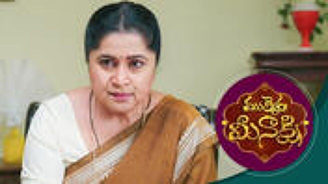 Mukkera Meenakshi season 1 episode 14 on Sun NXT