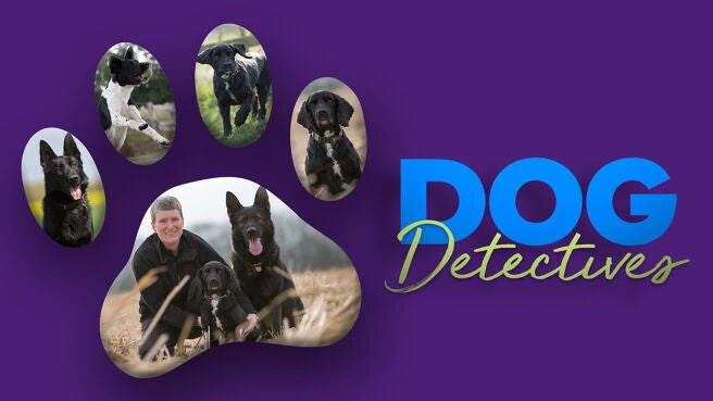 Dog Detectives on Discovery Plus
