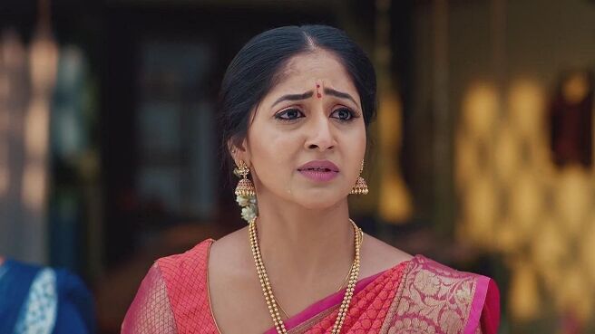 Maa Annayya season 1 episode 17 on Zee5
