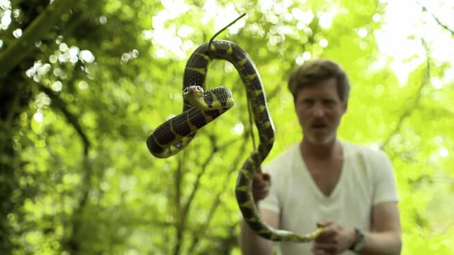 Bite Of The Living Dead season 1 episode 1 on Discovery Plus