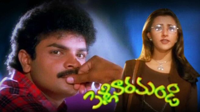 Pellivaramandi on Sun NXT