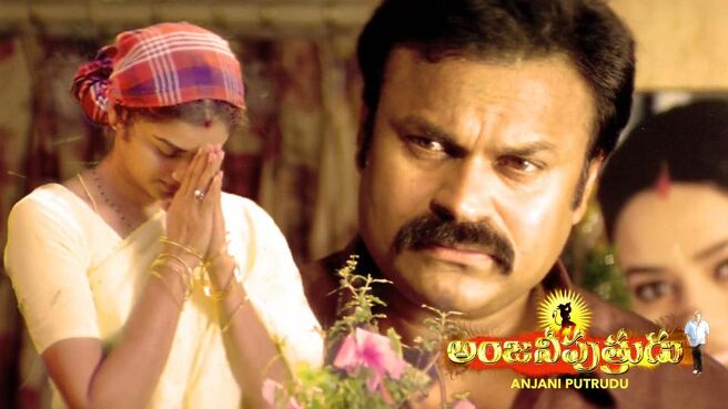 Anjani Putrudu on Sun NXT