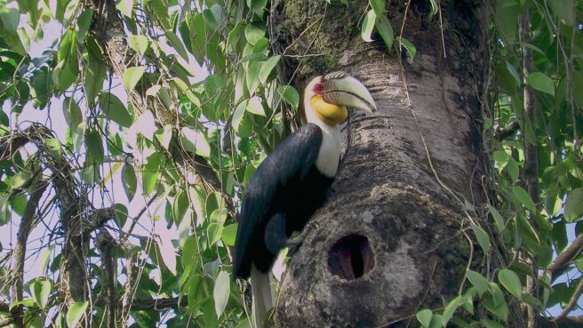 Heroes Of The Wild Frontiers season 1 episode 6 on Discovery Plus