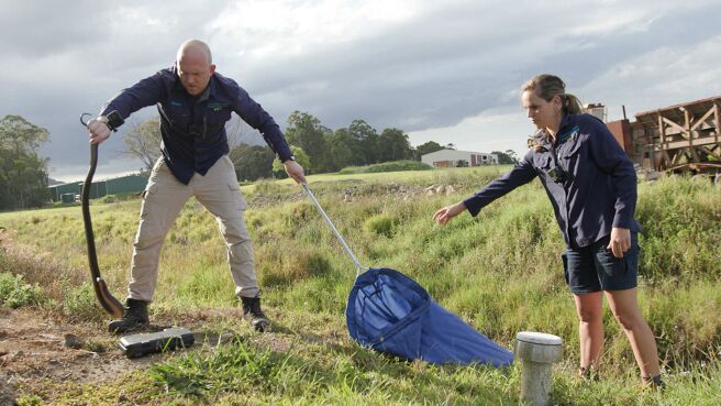 Aussie Snake Wranglers season 3 episode 6 on Discovery Plus