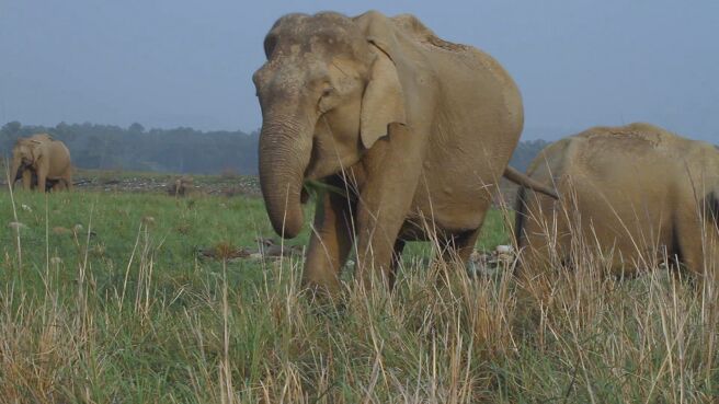 Heroes Of The Wild Frontiers season 1 episode 4 on Discovery Plus