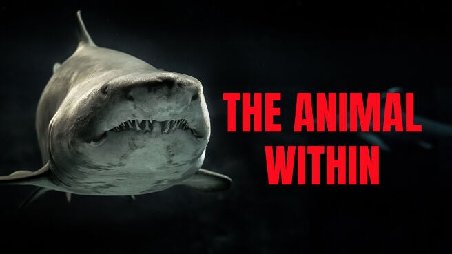 The Animal Within on Discovery Plus