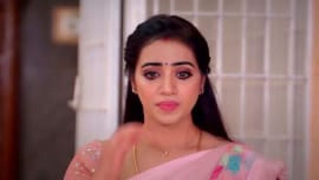 Meenakshi Ponnunga season 1 episode 245 on Zee5