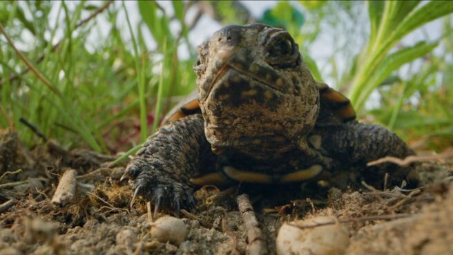 Earth's Great Rivers season 2 episode 2 on Sony LIV