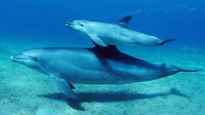 Parenthood season 1 episode 2 on Discovery Plus