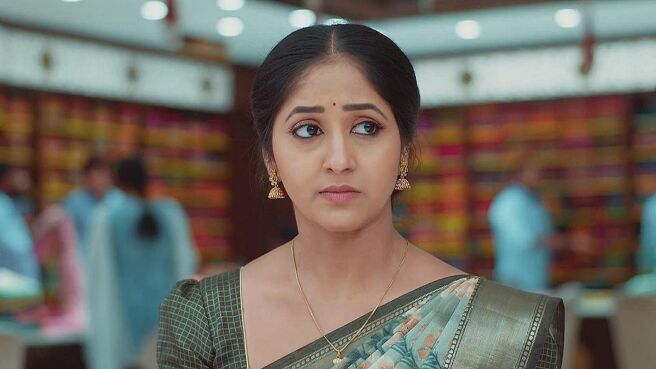Maa Annayya season 1 episode 23 on Zee5