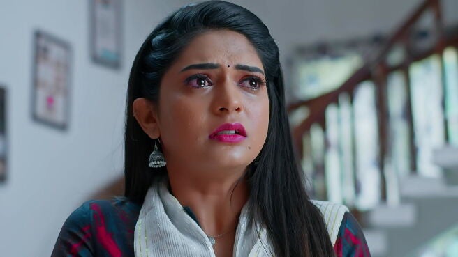 Smart Play - Nindu Noorella Saavasam season 1 episode 29 on Zee5