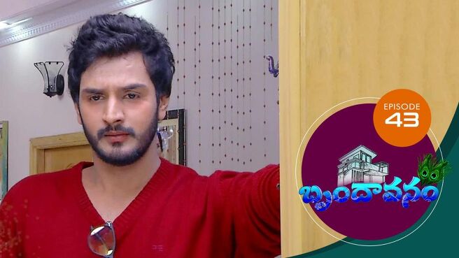 Brundavanam season 1 episode 43 on Sun NXT