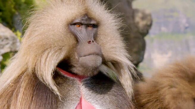 Extreme Africa season 1 episode 3 on Discovery Plus