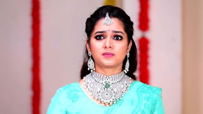 Endrendrum Punnagai season 1 episode 426 on Zee5