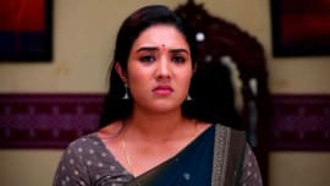 Deivam Thantha Poove season 1 episode 458 on Zee5