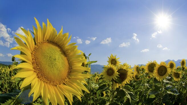 Life season 1 episode 9 on Discovery Plus