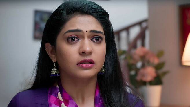 Smart Play - Nindu Noorella Saavasam season 1 episode 30 on Zee5