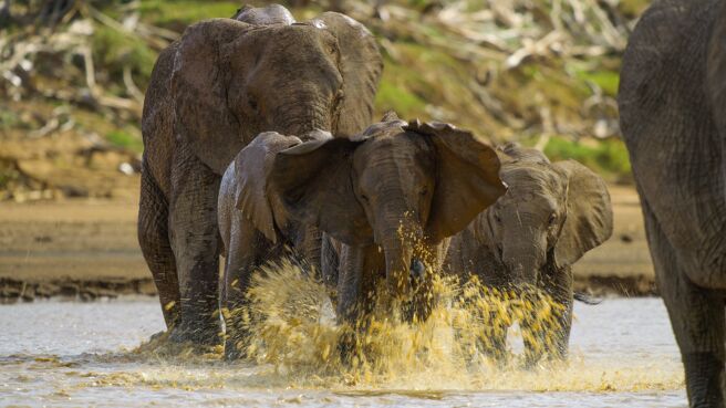 Parenthood season 1 episode 4 on Discovery Plus