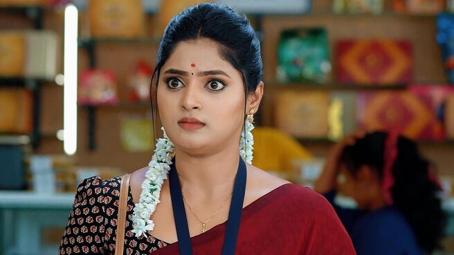 Janaki Ramayya Gari Manavaralu season 1 episode 29 on Zee5
