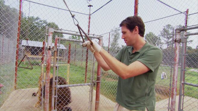 Must Love Cats season 1 episode 4 on Discovery Plus