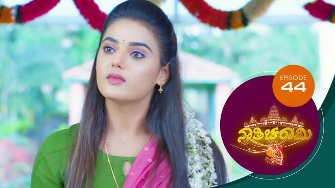 Nathicharami season 1 episode 44 on Sun NXT