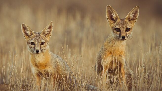 Parenthood season 1 episode 3 on Discovery Plus