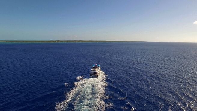 Cooper's Treasure season 1 episode 4 on Discovery Plus