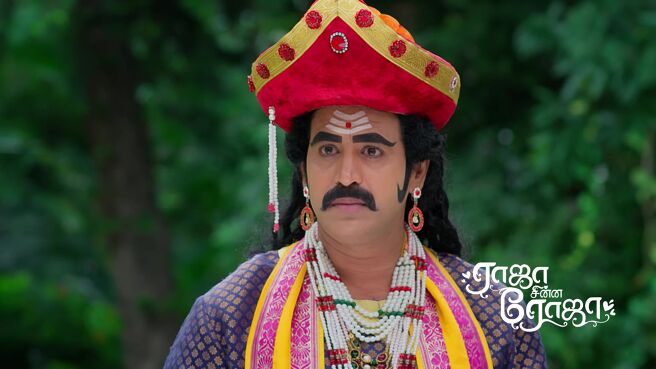 Raja Chinna Roja season 1 episode 35 on Zee5