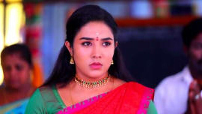 Deivam Thantha Poove season 1 episode 13 on Zee5