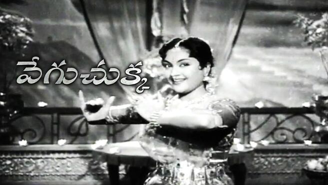 Vegu Chukka on Sun NXT