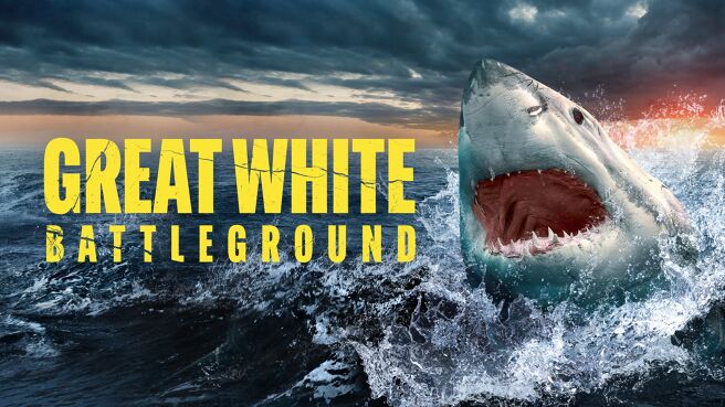 Great White Battleground on Discovery Plus