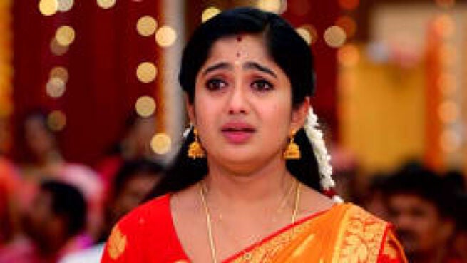 Meenakshi Ponnunga season 1 episode 239 on Zee5