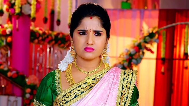 Kalyana Vaibhogam season 1 episode 1429 on Zee5