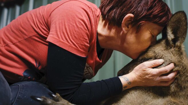 The Bond season 1 episode 1 on Discovery Plus