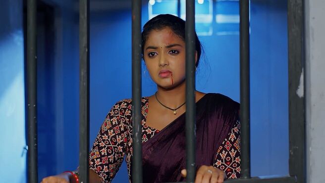 Meghasandesha season 1 episode 44 on Zee5