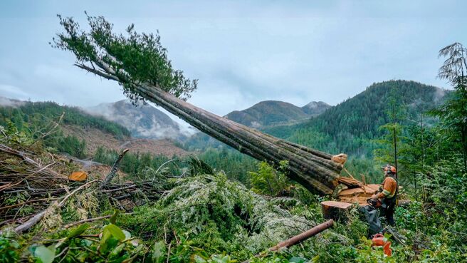 The Last Woodsmen season 1 episode 1 on Discovery Plus