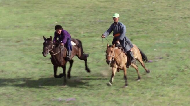 A Wild Year On Earth season 1 episode 4 on Discovery Plus