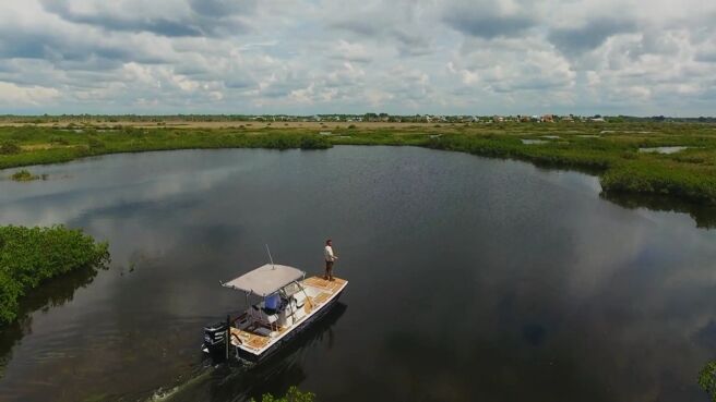 Extinct Or Alive season 1 episode 5 on Discovery Plus