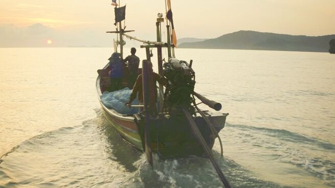 Wild Thailand season 1 episode 1 on Discovery Plus