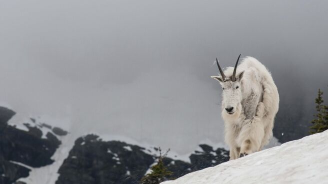 Life Story season 1 episode 3 on Discovery Plus