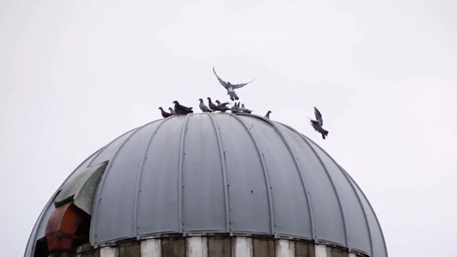 Wild Fed season 1 episode 8 on Discovery Plus