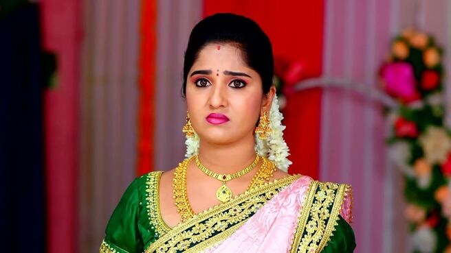 Kalyana Vaibhogam season 1 episode 1428 on Zee5