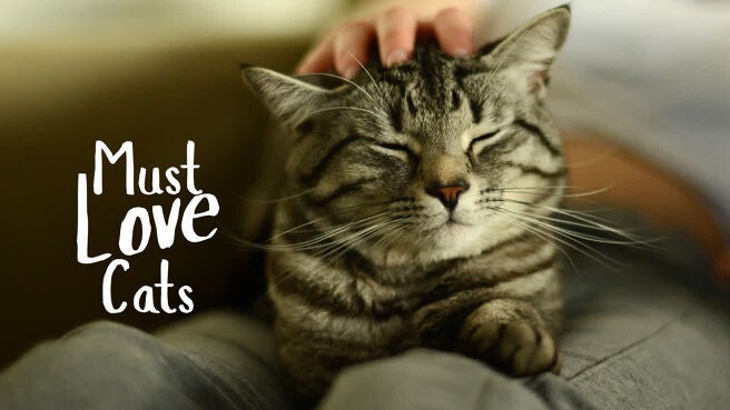 Must Love Cats on Discovery Plus
