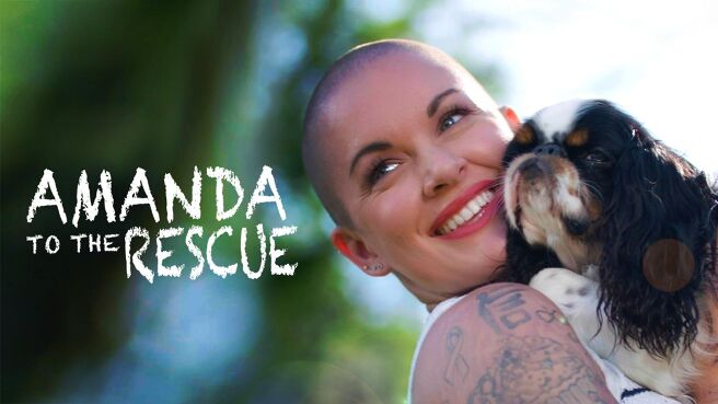 Amanda To The Rescue on Discovery Plus