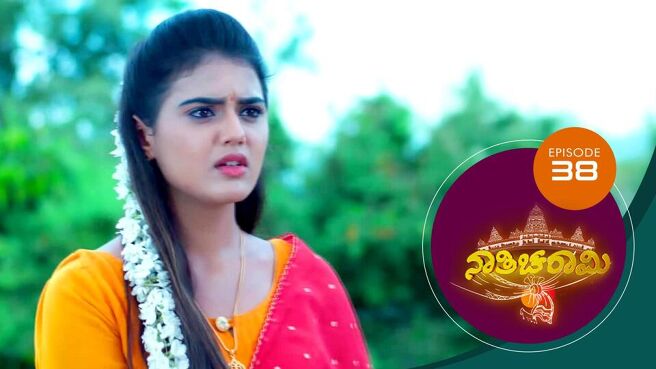 Nathicharami season 1 episode 38 on Sun NXT