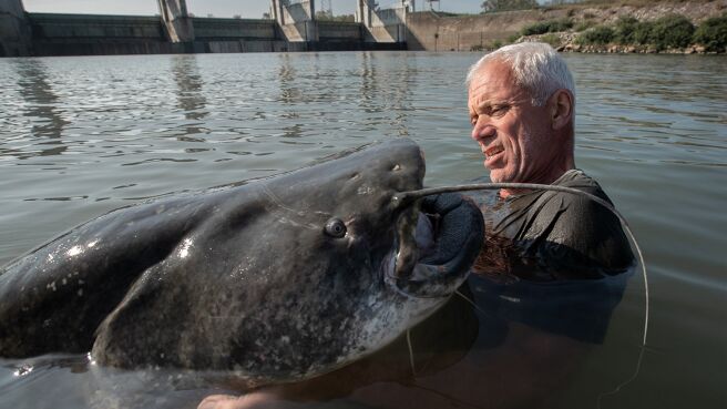 Jeremy Wade's Dark Waters season 1 episode 4 on Discovery Plus
