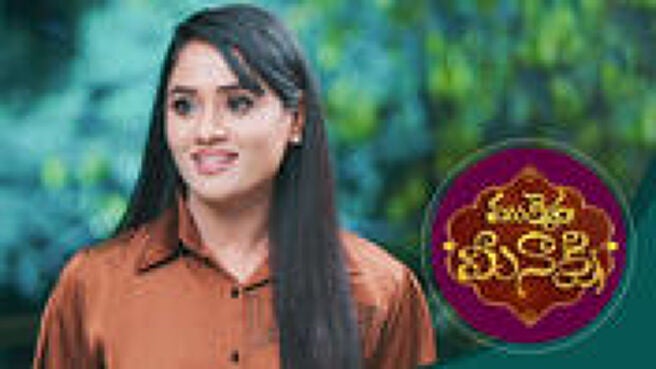 Mukkera Meenakshi season 1 episode 17 on Sun NXT