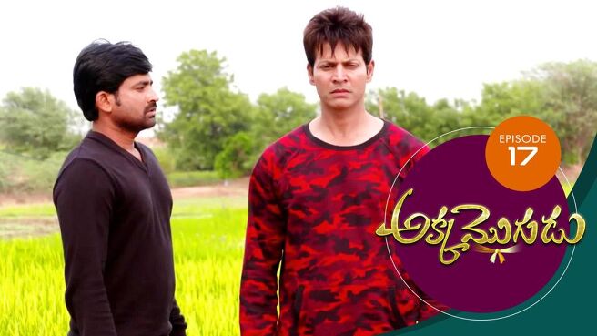 Akka Mogudu season 1 episode 17 on Sun NXT