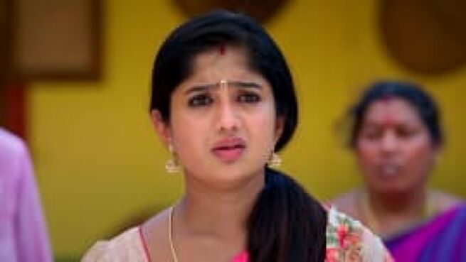 Meenakshi Ponnunga season 1 episode 250 on Zee5